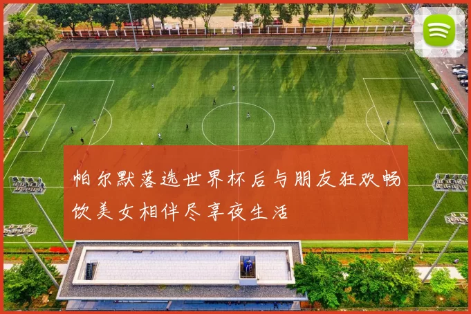 帕尔默落选世界杯后与朋友狂欢畅饮美女相伴尽享夜生活